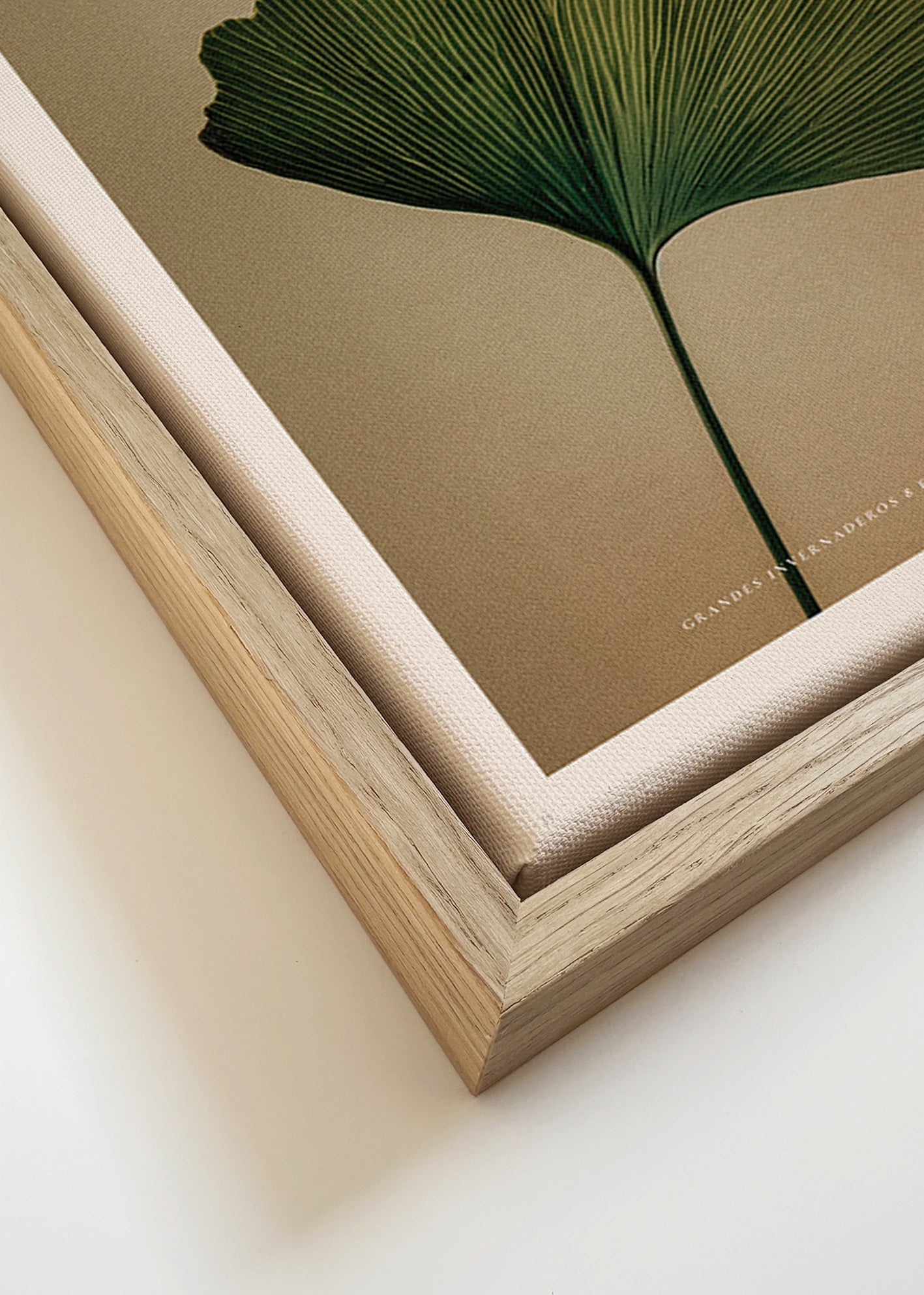 Botanický plakát s listem gingka a klasickou typografií
