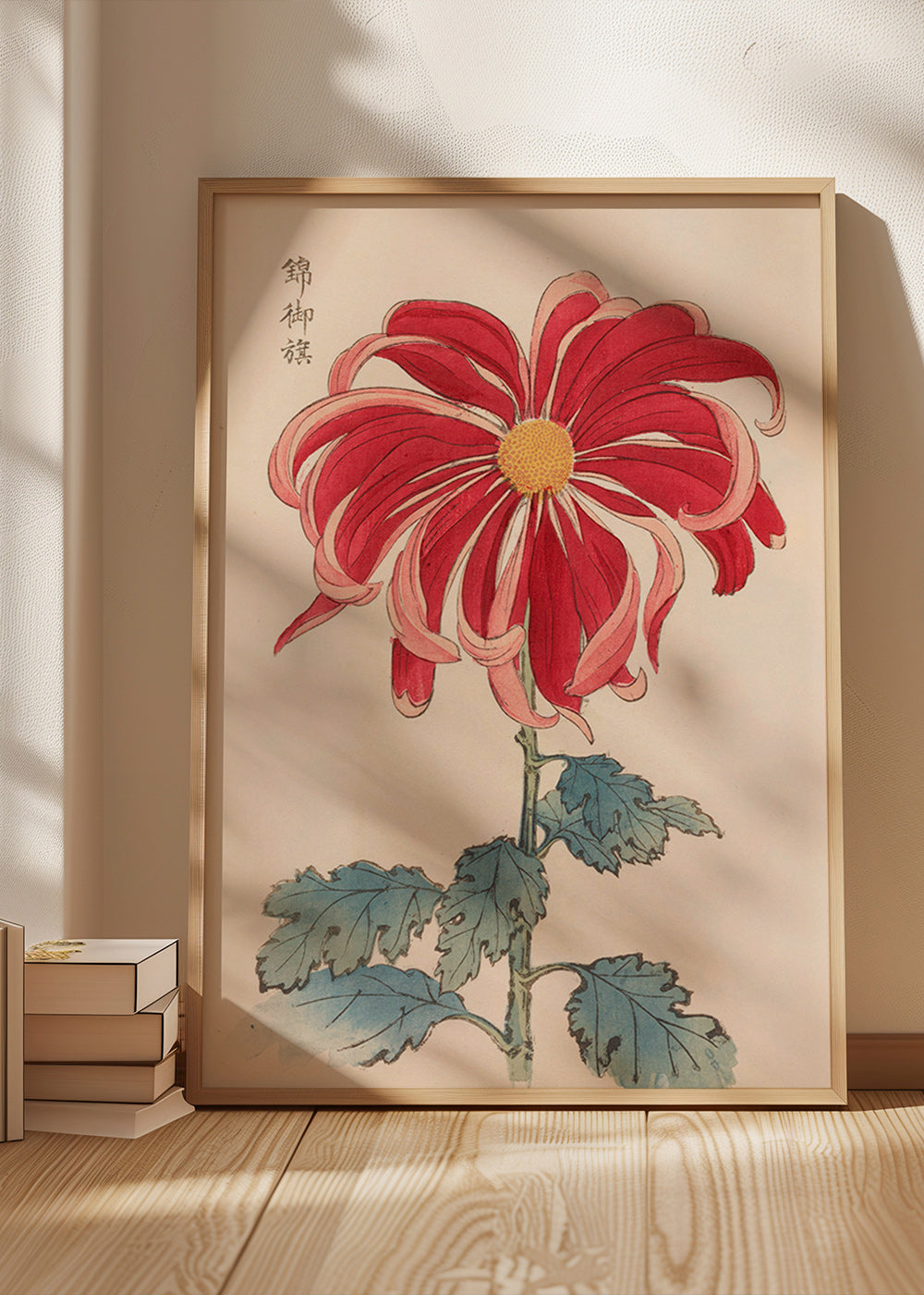 Botanický plakát japonská chryzantéma červená