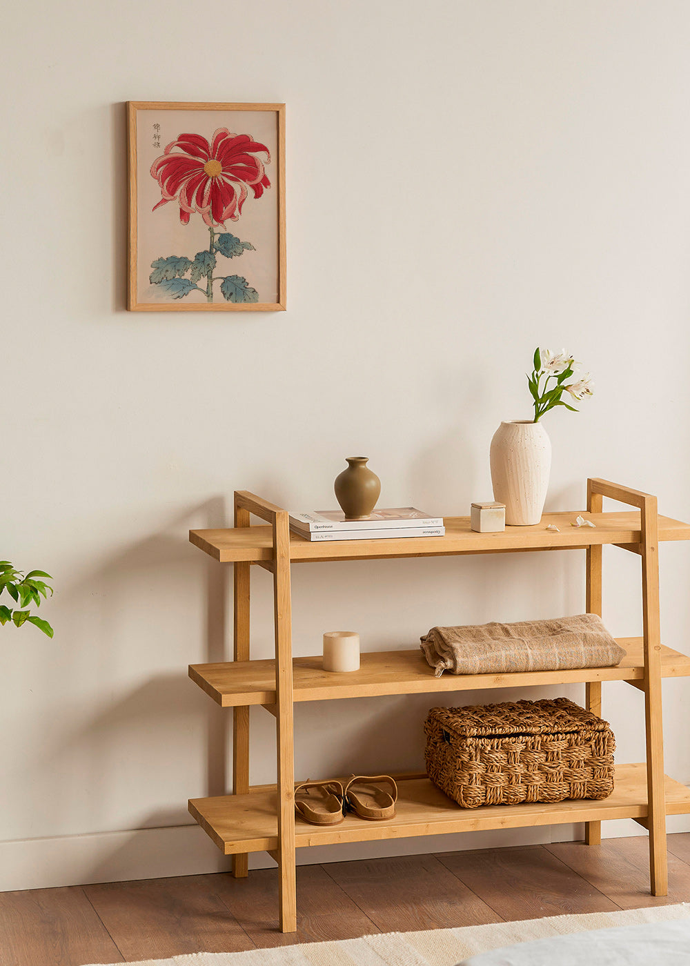 Botanický plakát japonská chryzantéma červená