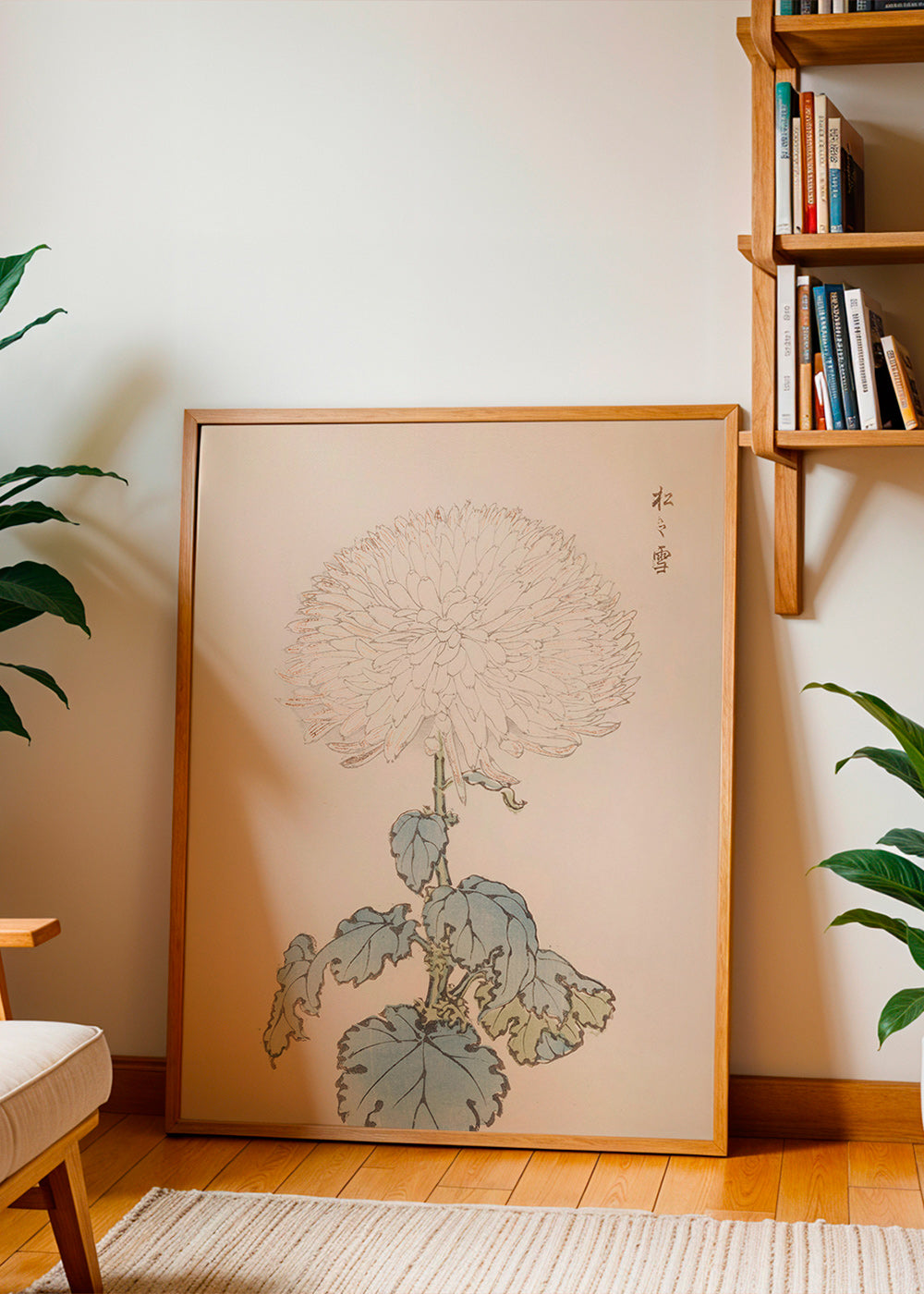 Botanický plakát: japonská chryzantéma detail