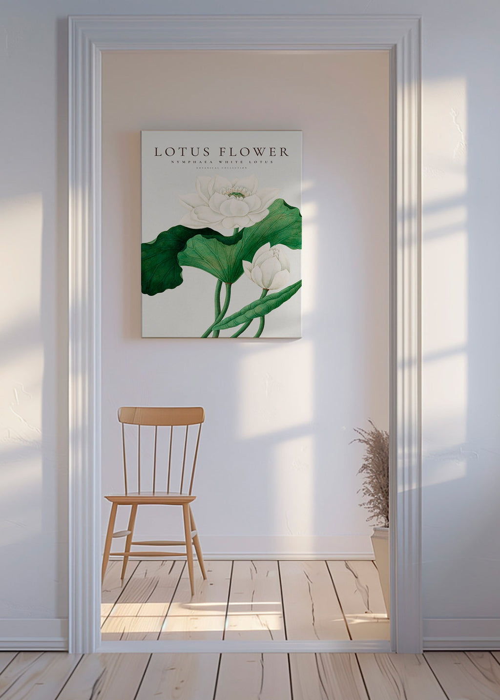 Botanický plakát Bílý lotos studie