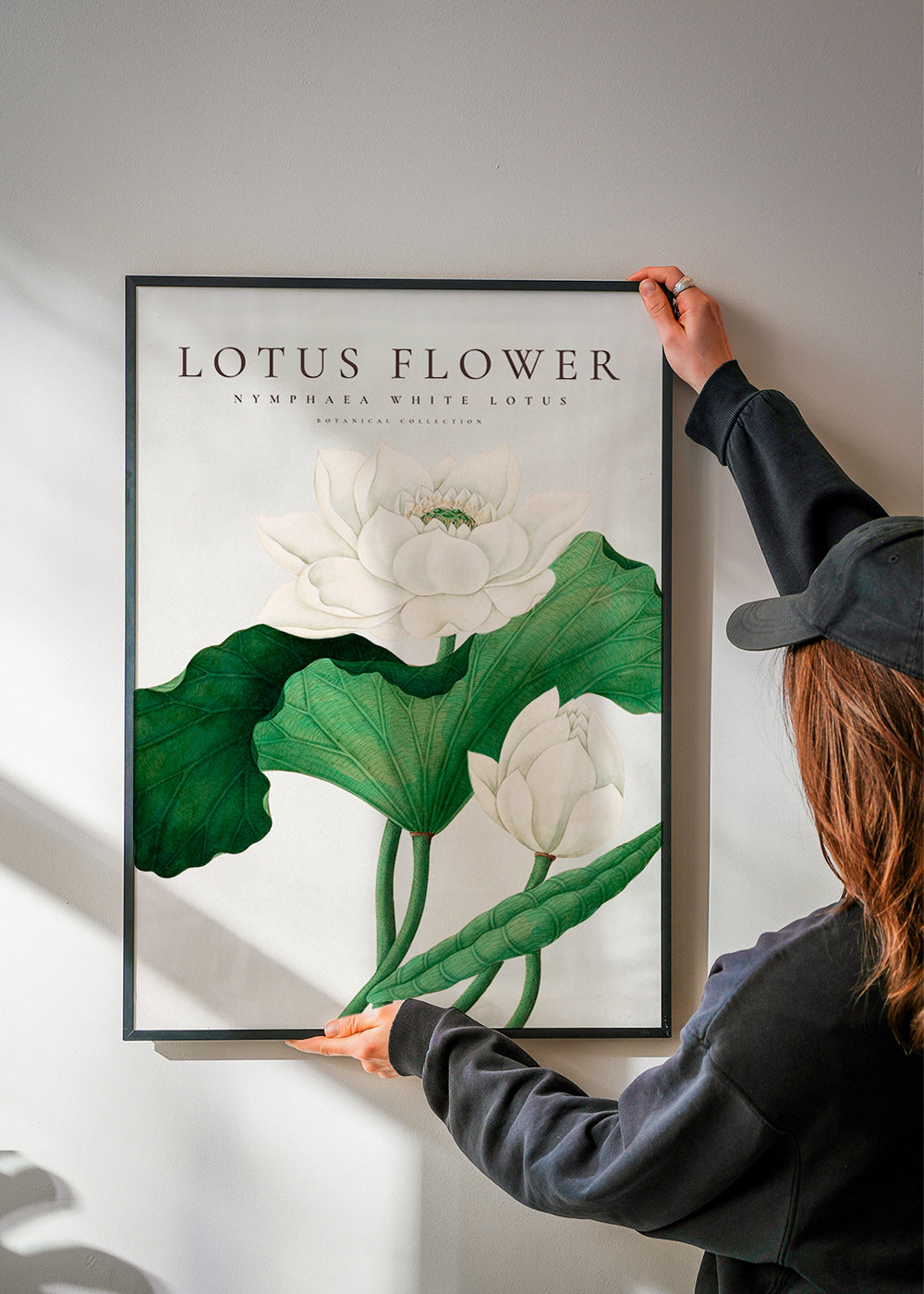 Botanický plakát Bílý lotos studie