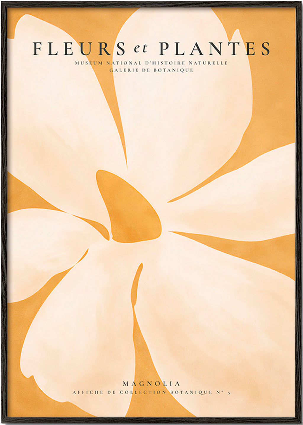 Botanický plakát Magnolia velký formát