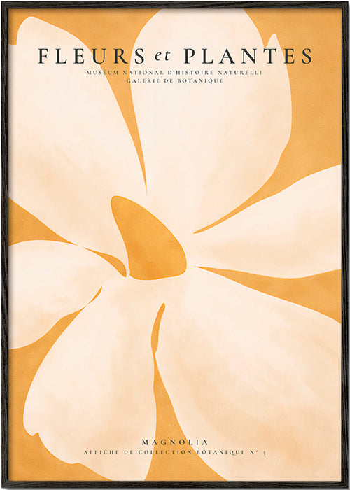 Botanický plakát Magnolia velký formát