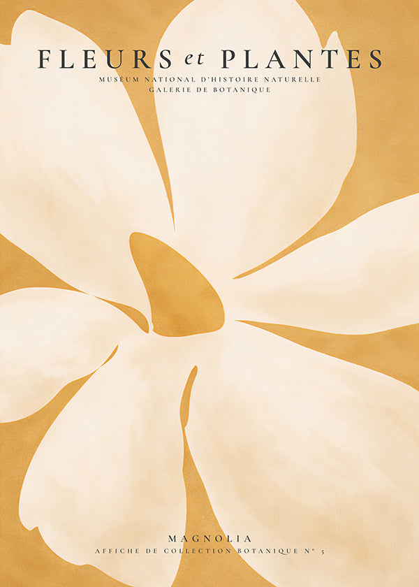 Botanický plakát Magnolia velký formát