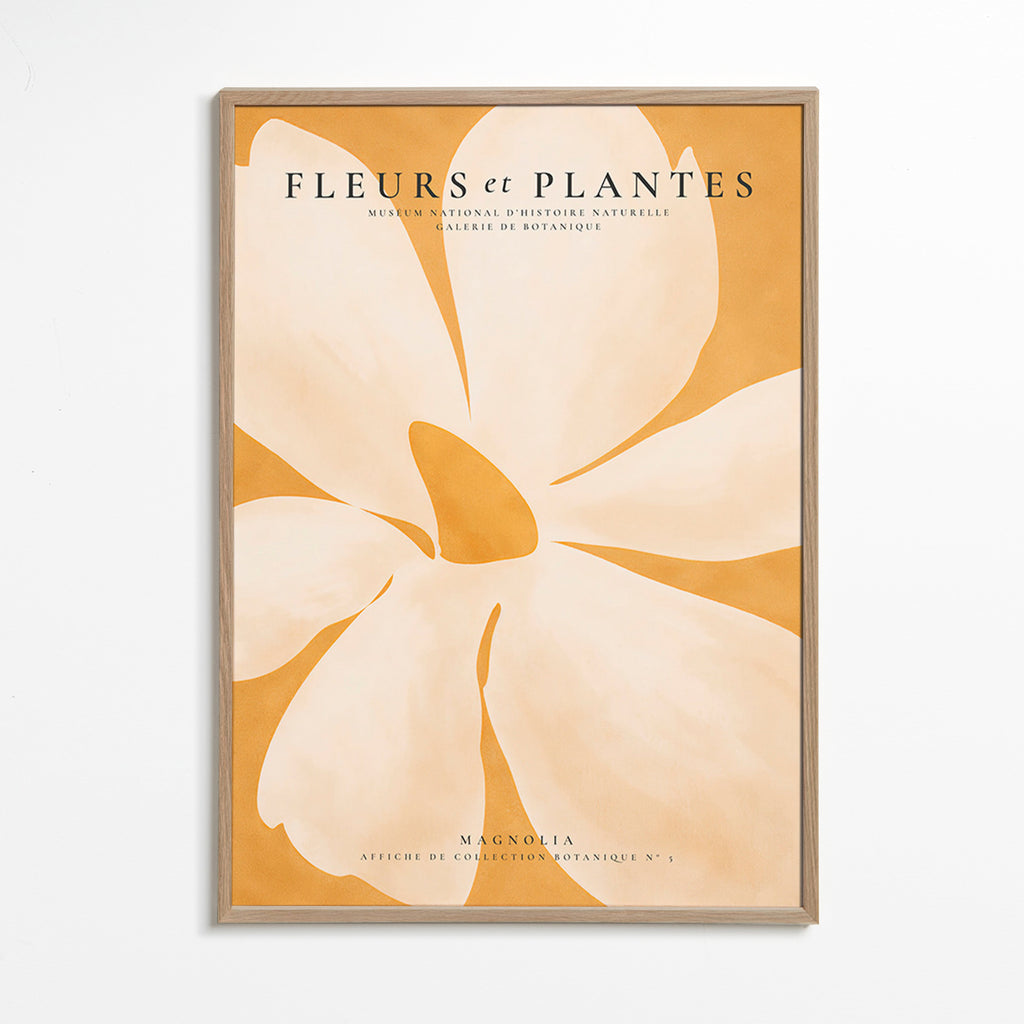 Botanický plakát Magnolia velký formát