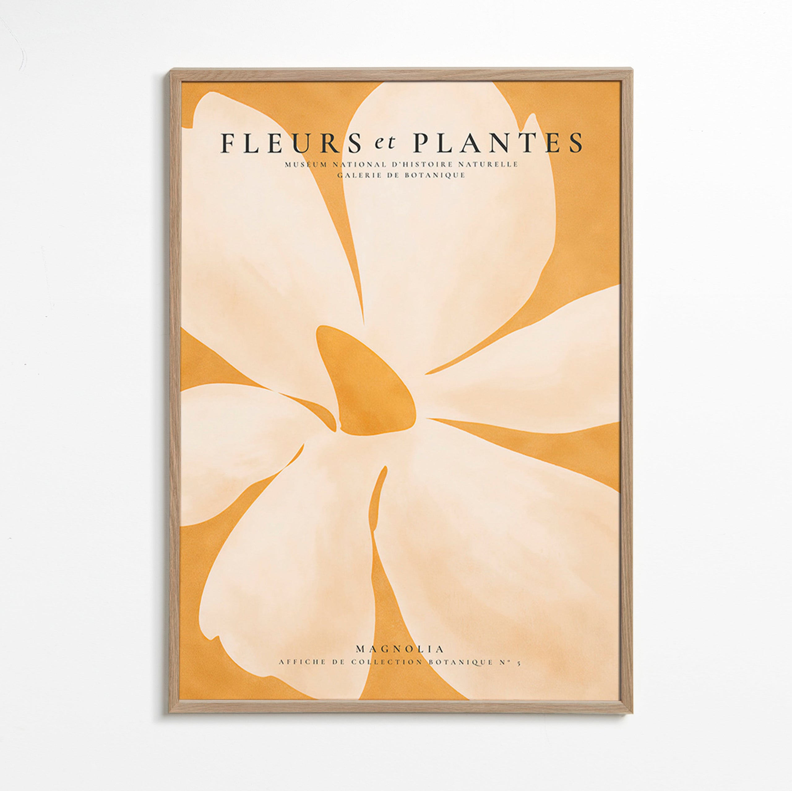 Botanický plakát Magnolia velký formát