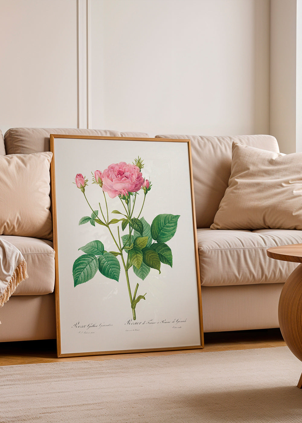 Botanický plakát Růže Gallica – Product1