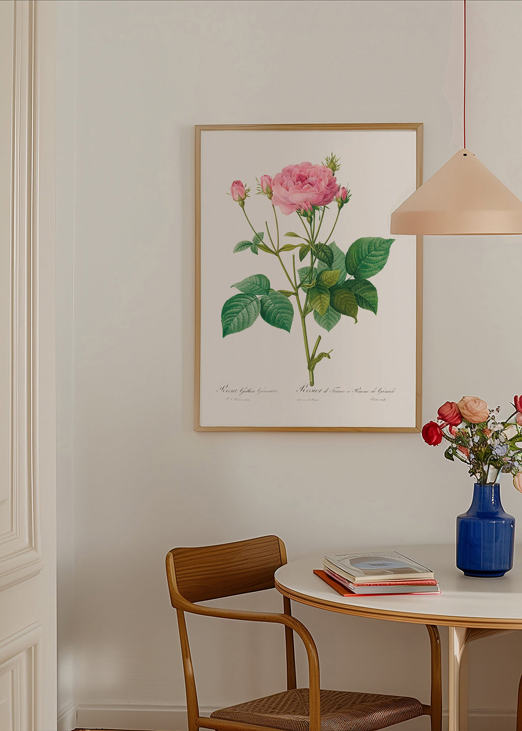 Botanický plakát Růže Gallica – Product2