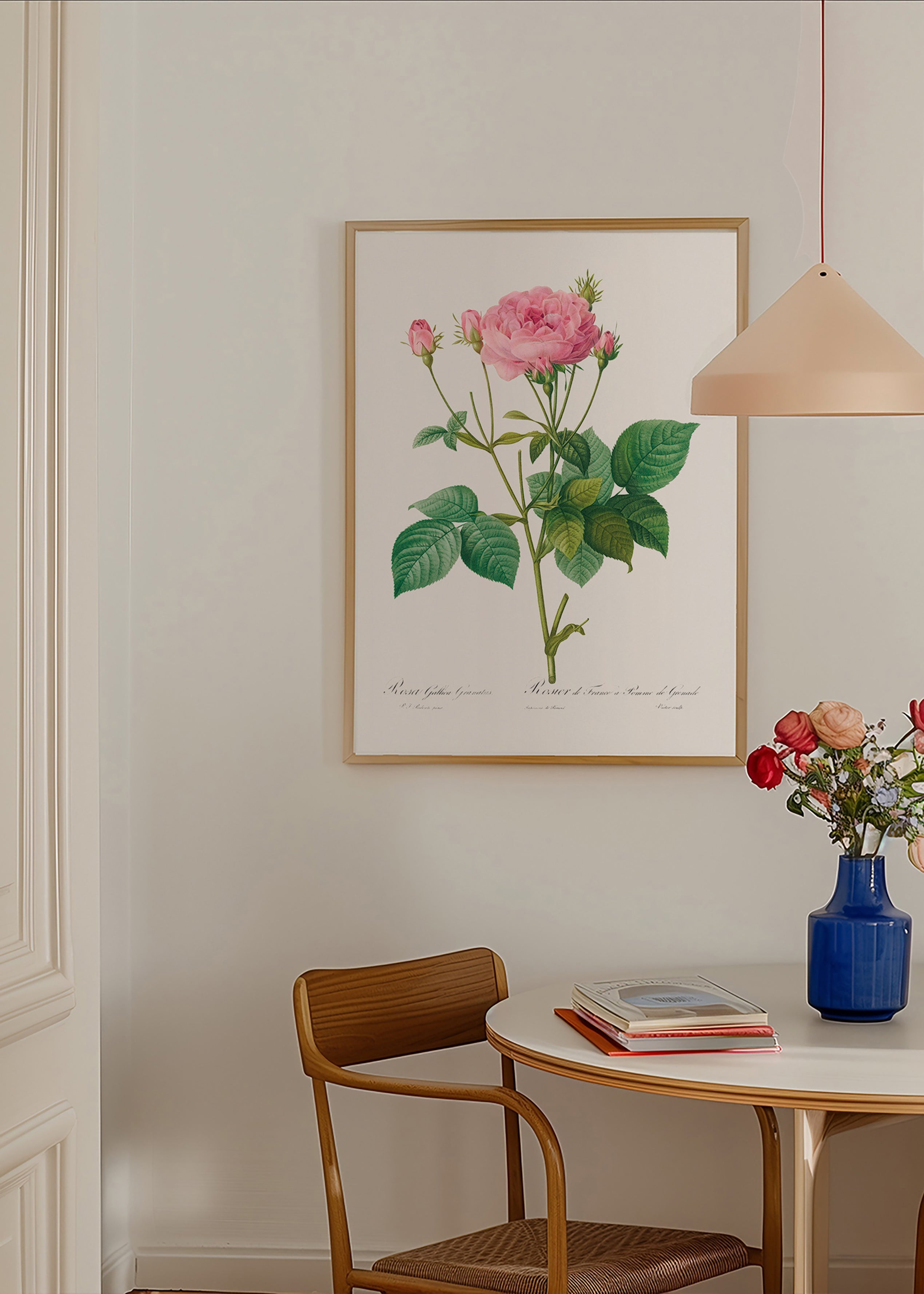 Botanický plakát Růže Gallica – Product2