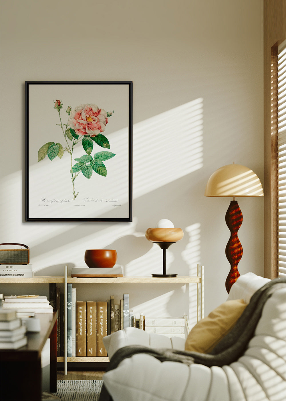 Botanický tisk Růže Gallica vědecká deska – Canvas2