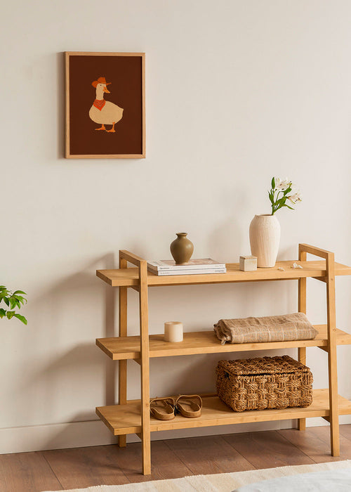 Ilustrace kačera kovboje – Product1