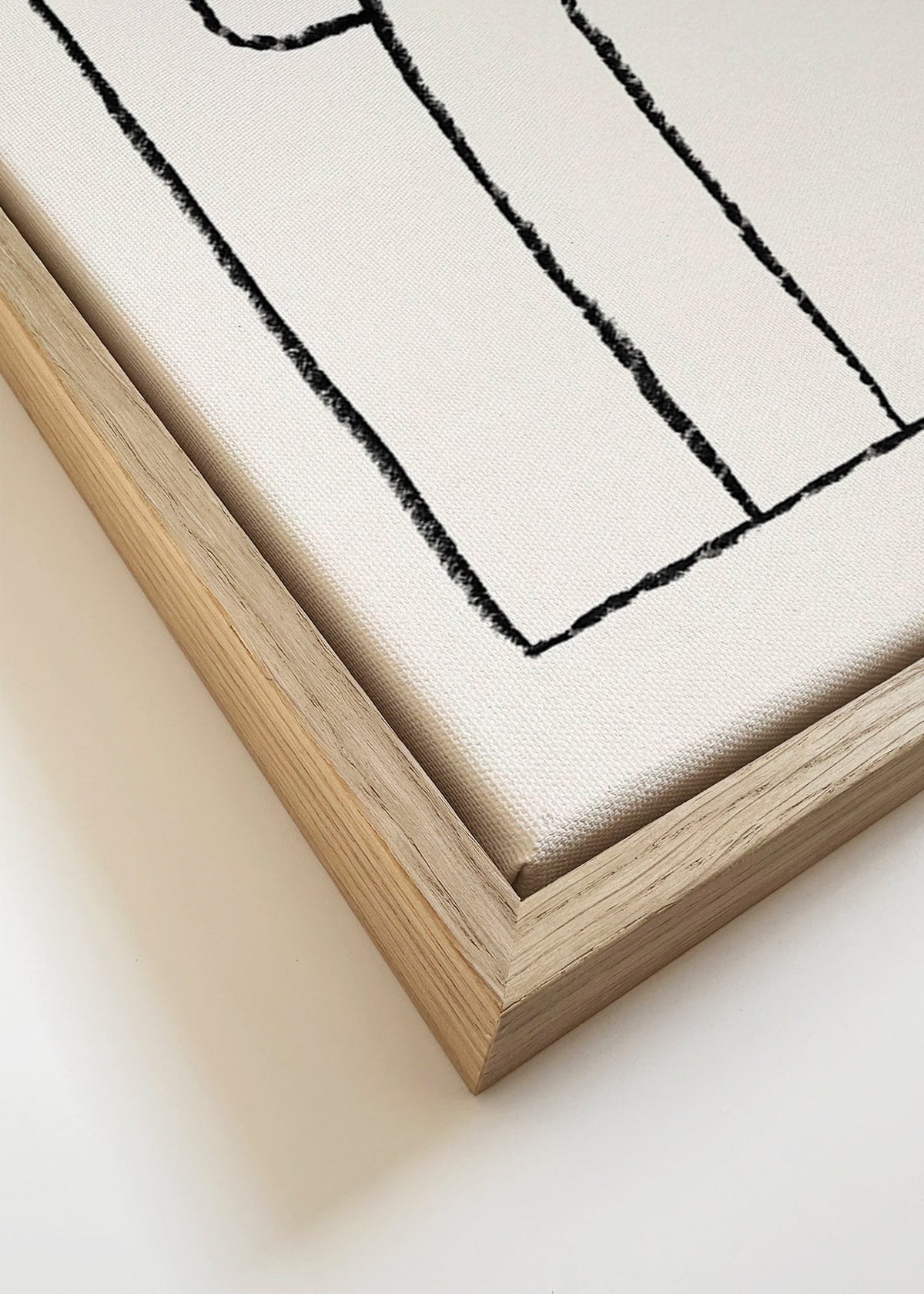 Ilustrace hada s kloboukem – Canvas detail