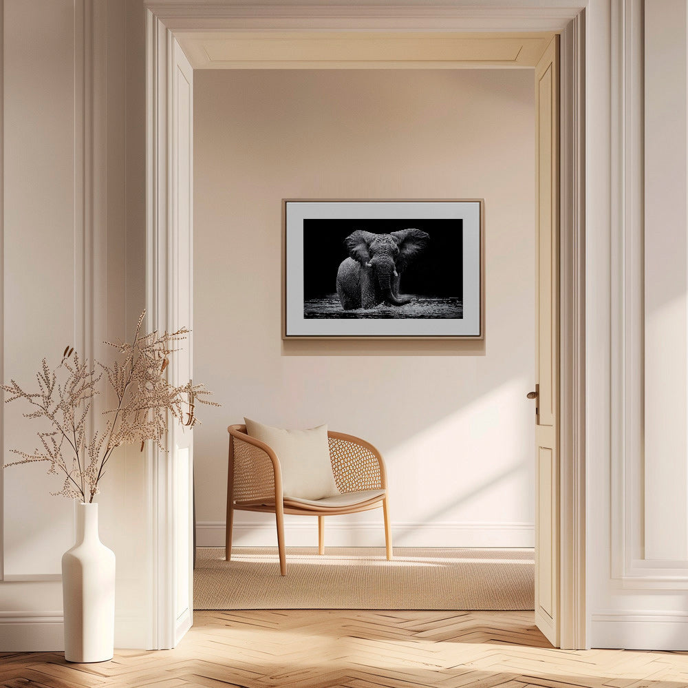Dílo: portrét slona ve vodě v černobílém provedení – Canvas2