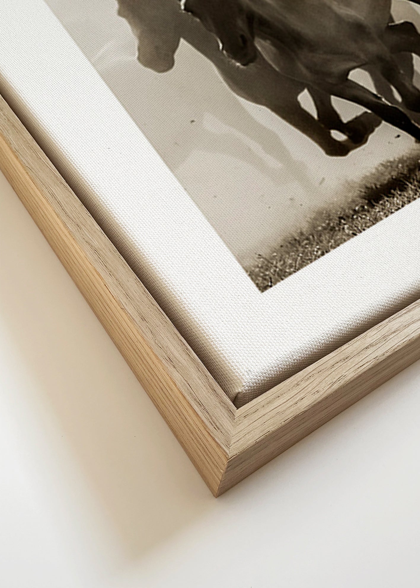Koně v cvalu v sépiovém tónu – Canvas detail