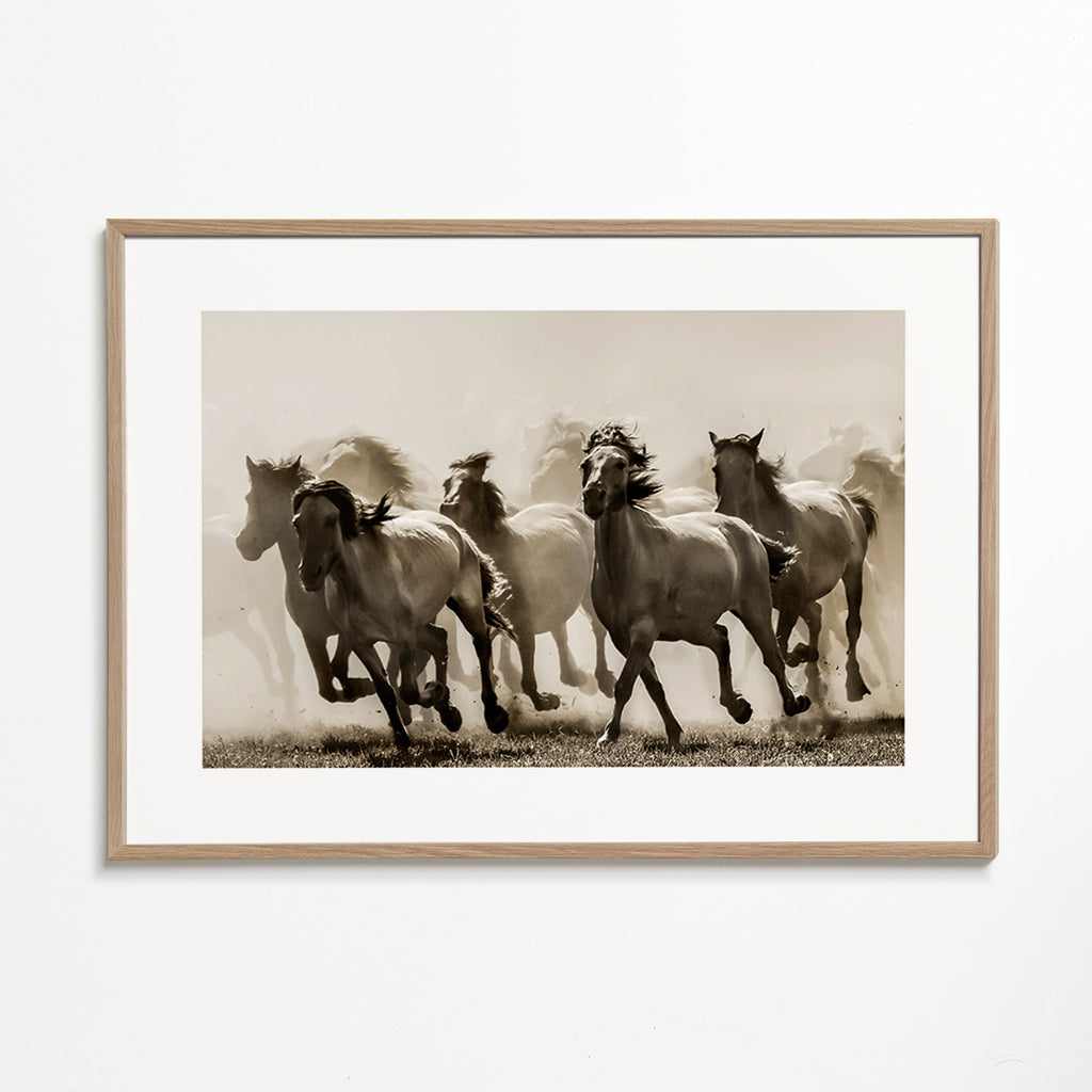 Koně v cvalu v sépiovém tónu – Oak Frame