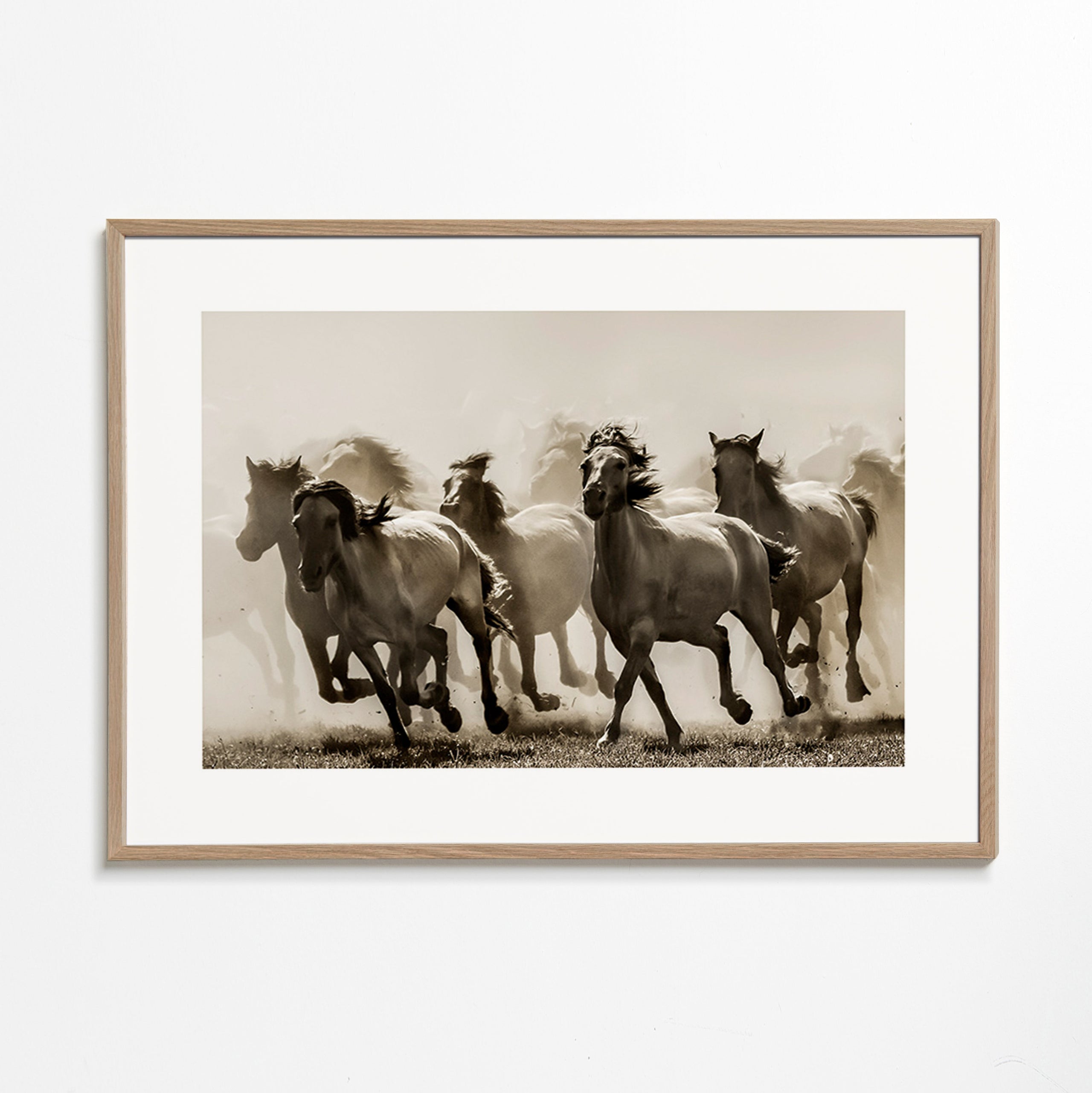 Koně v cvalu v sépiovém tónu – Oak Frame