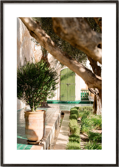 Botanický plakát: středomořské nádvoří – Black Frame