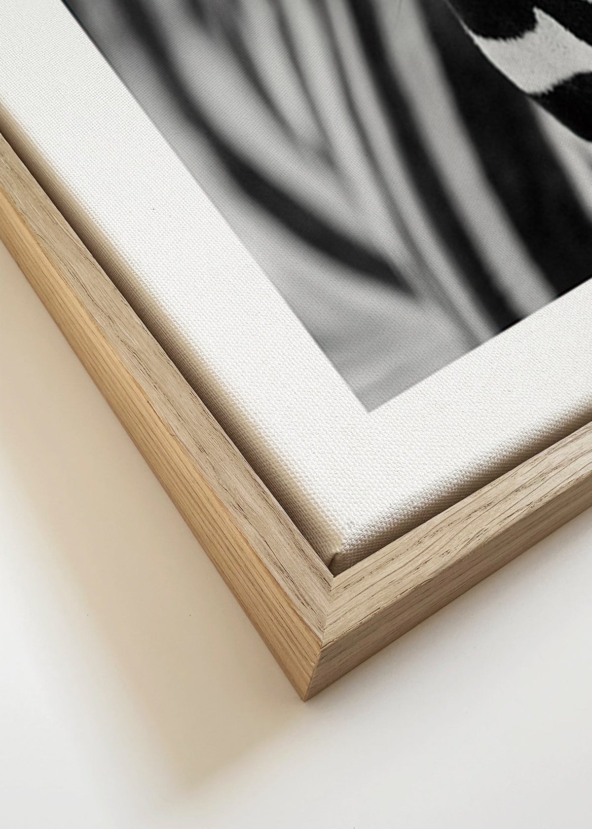 Zebra v detailu – Canvas detail