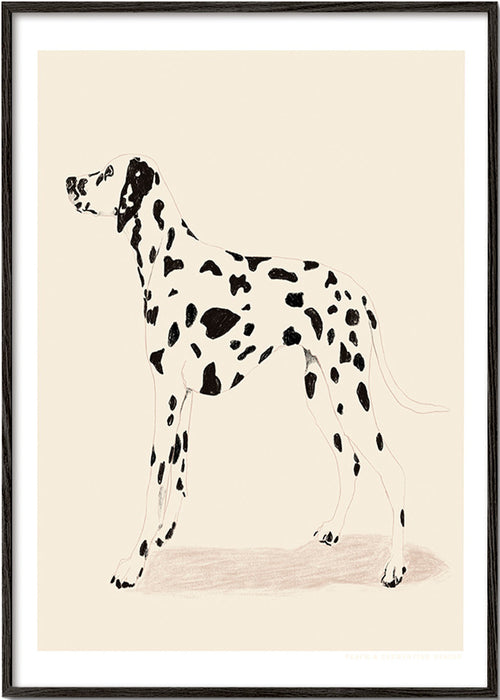 Obraz dalmatin v minimalistické linii – Black Frame
