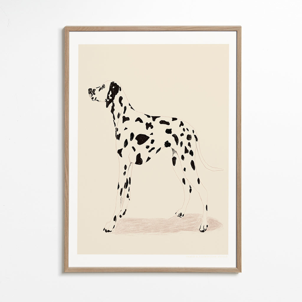 Obraz dalmatin v minimalistické linii – Oak Frame