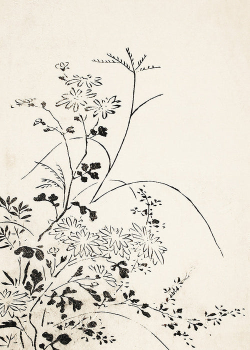 Botanický tisk inkoustem v japonském minimalismu