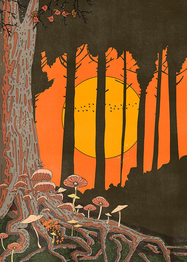 Ilustrace lesa při západu slunce s houbami