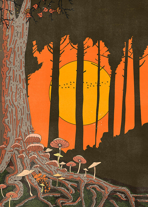 Ilustrace lesa při západu slunce s houbami