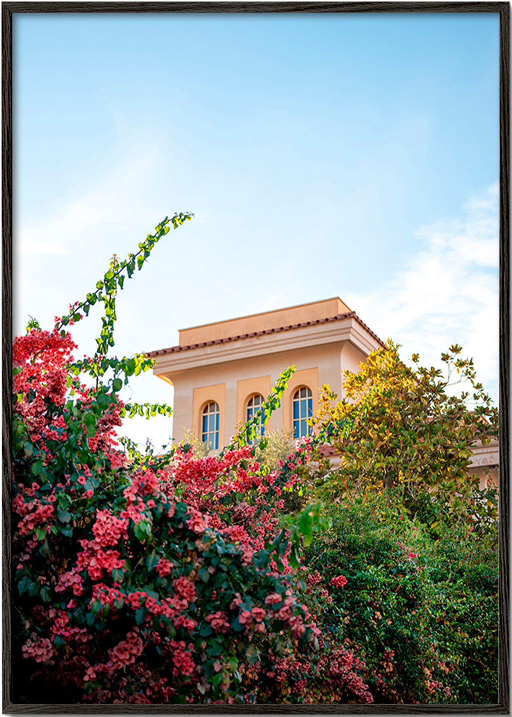 Botanický plakát s fasádou Amalfi a buganvileou – Black Frame