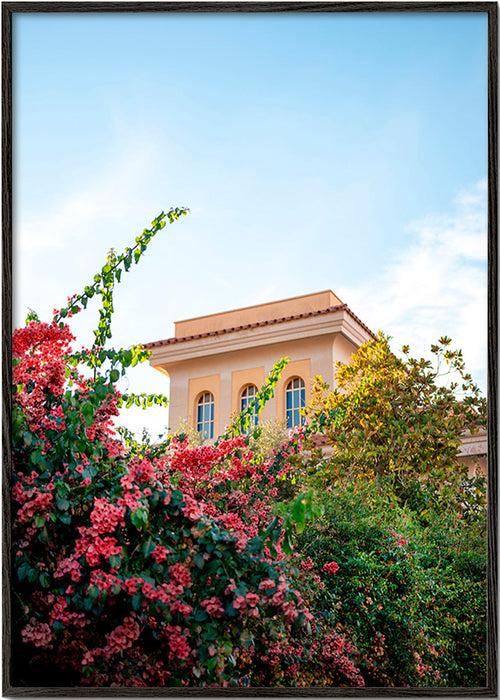Botanický plakát s fasádou Amalfi a buganvileou – Black Frame