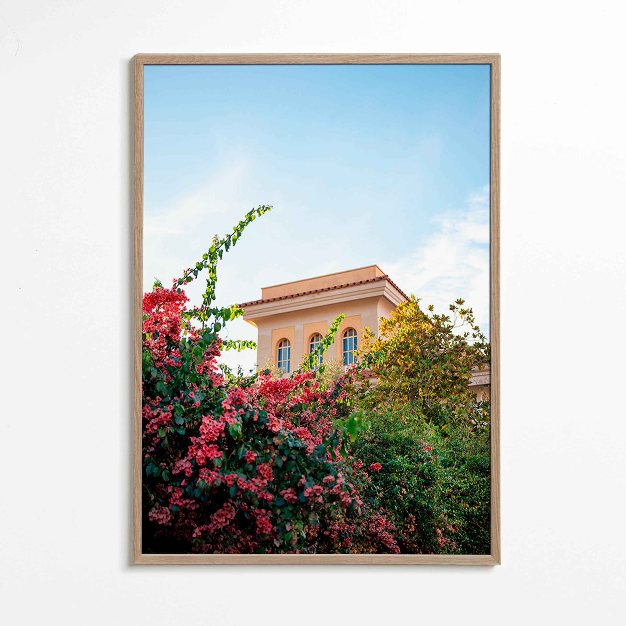 Botanický plakát s fasádou Amalfi a buganvileou – Oak Frame