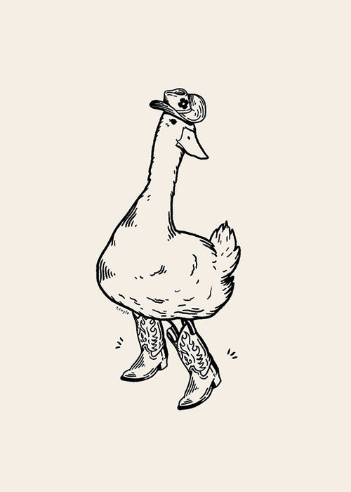 Ilustrace káčera kovboje