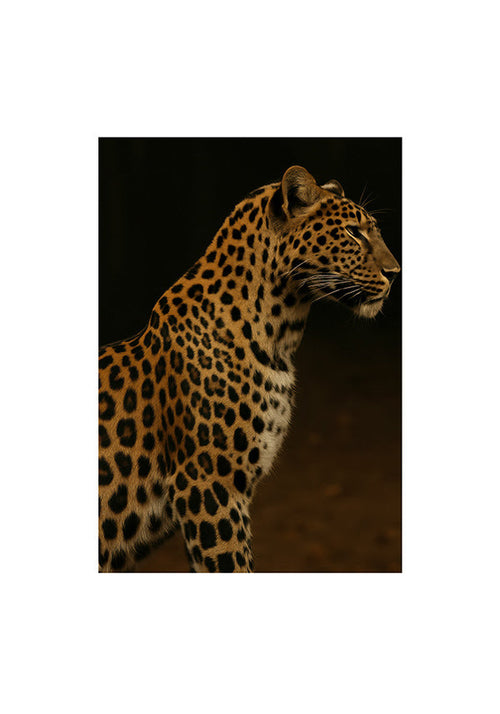 Dílo leopard profil