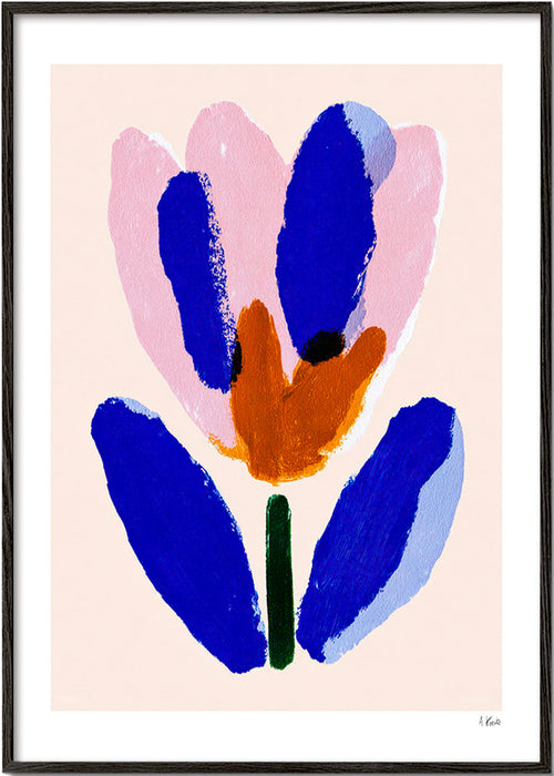 Botanický plakát květ malířský modrý a růžový – Black Frame