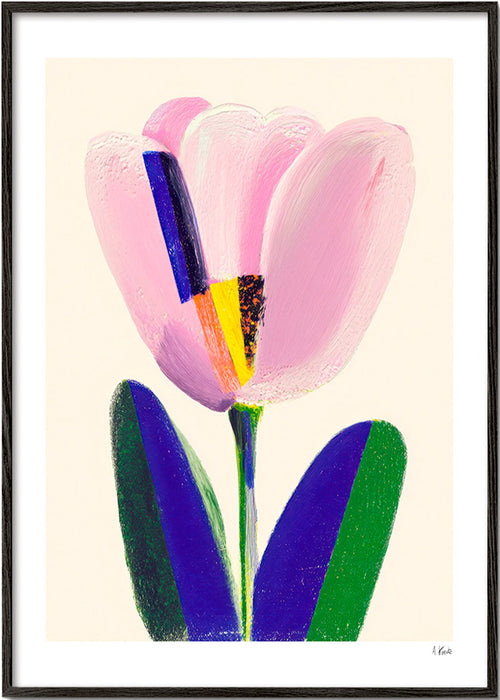Botanický plakát růžový tulipán – Black Frame