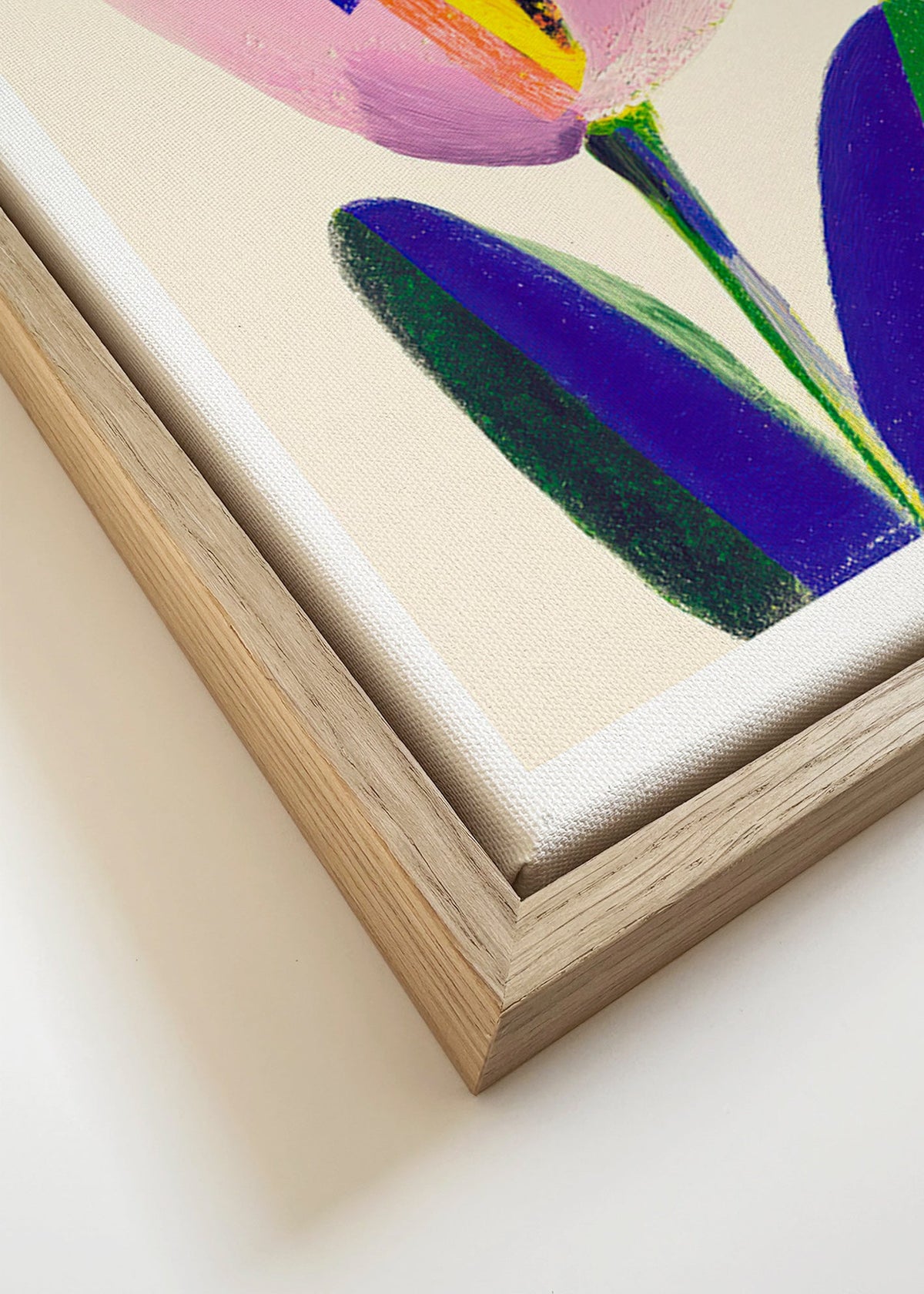 Botanický plakát růžový tulipán – Canvas detail
