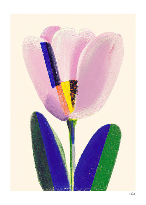 Botanický plakát růžový tulipán