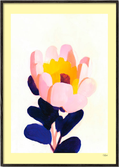 Botanický plakát: růžový květ s tmavě modrými listy – Black Frame