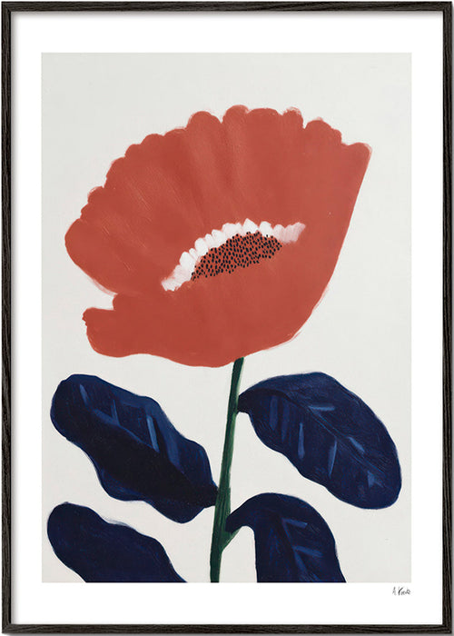 Botanický plakát korálový květ – Black Frame