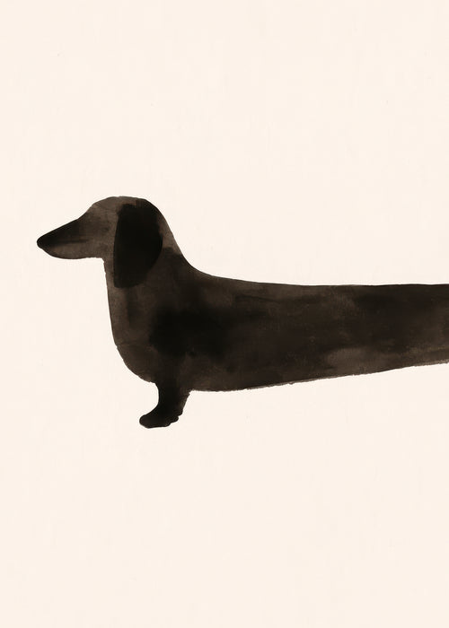 Long Dachshund - Unframed art print