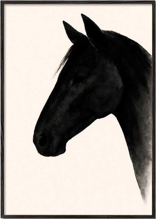 Dílo profil černého koně – Black Frame