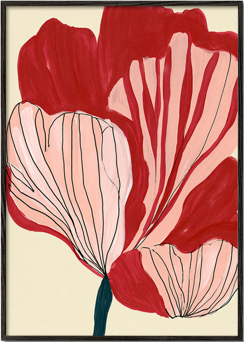 Botanický plakát karmazínové okvětní lístky – Black Frame