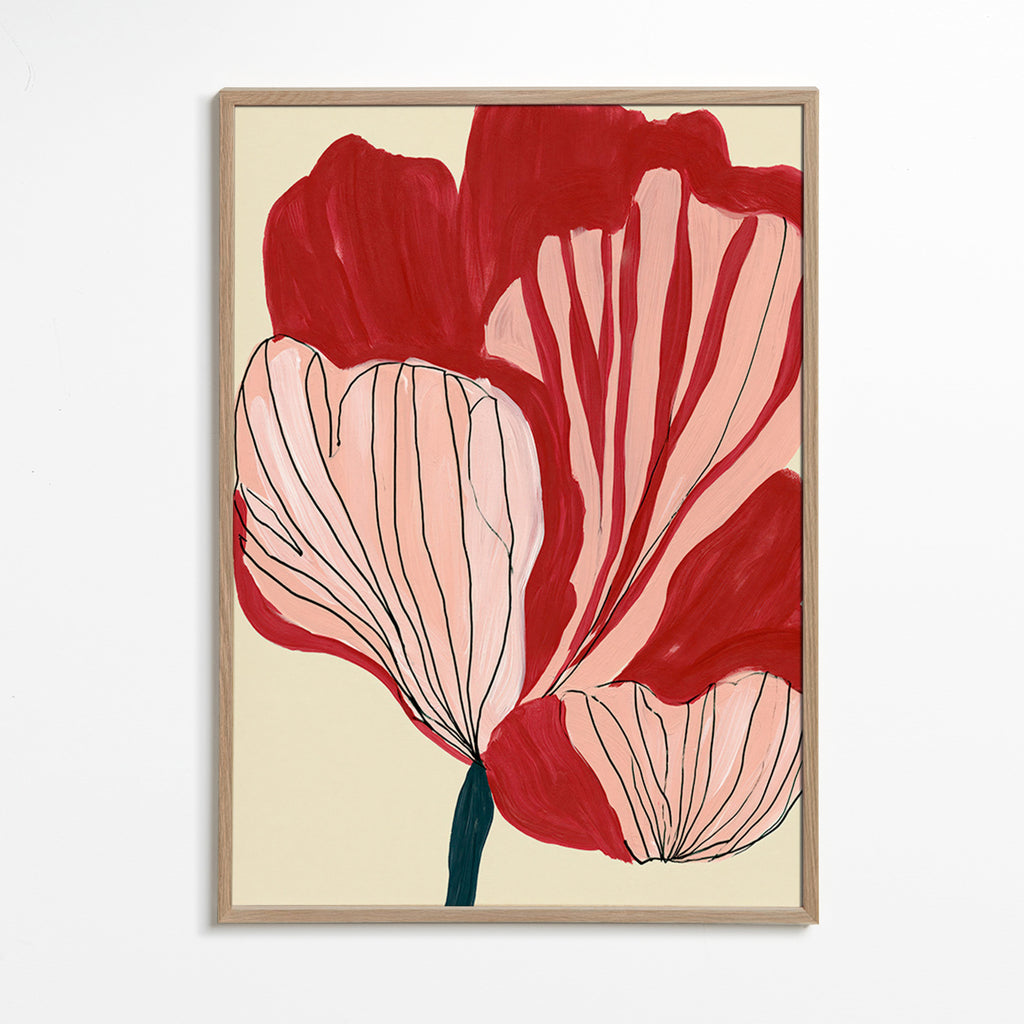 Botanický plakát karmazínové okvětní lístky – Oak Frame