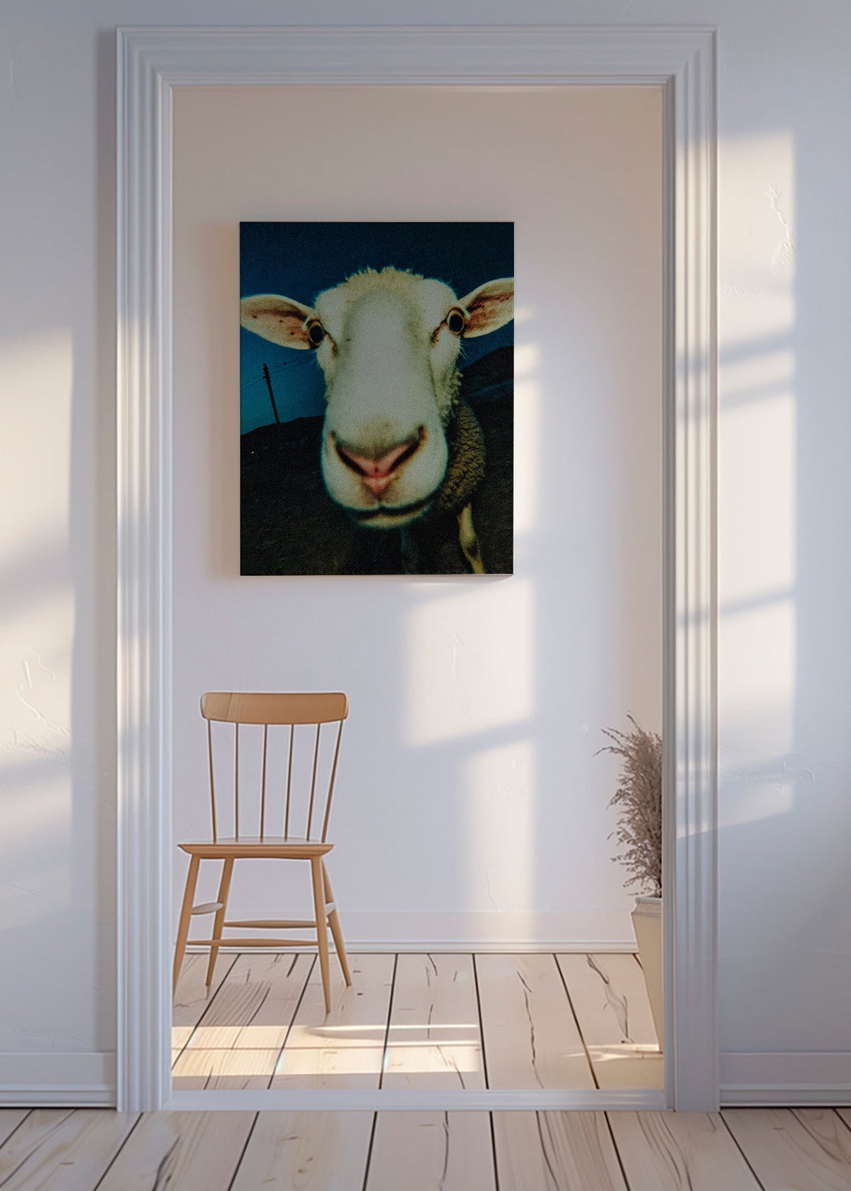 Portrét ovce zblízka