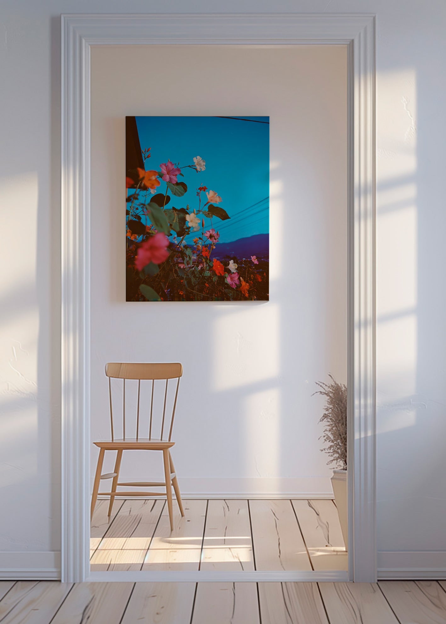 Botanický plakát: bougainvillea za soumraku
