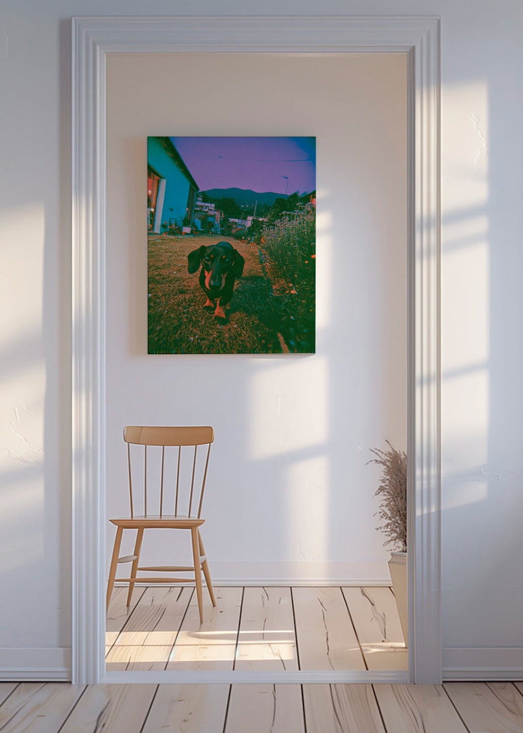Fotografie psa za soumraku