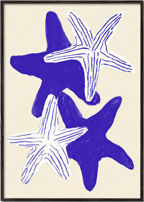 Mořské hvězdice indigo