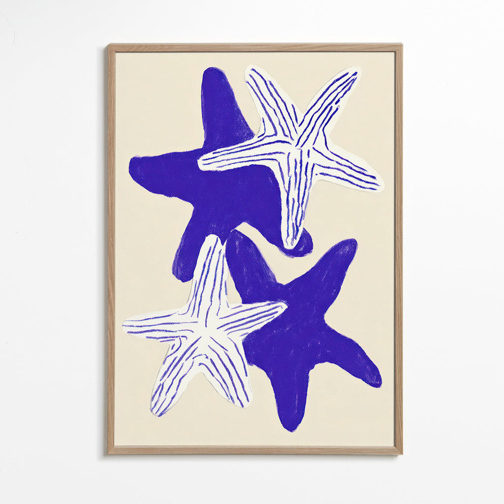 Mořské hvězdice indigo