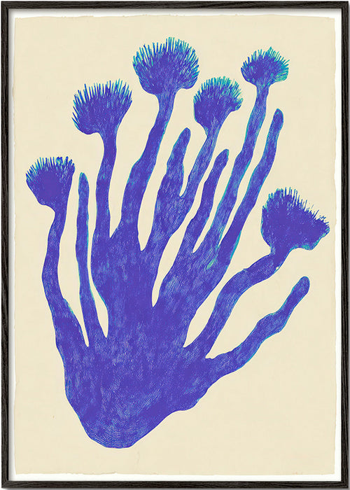 Botanický plakát Indigo Coral