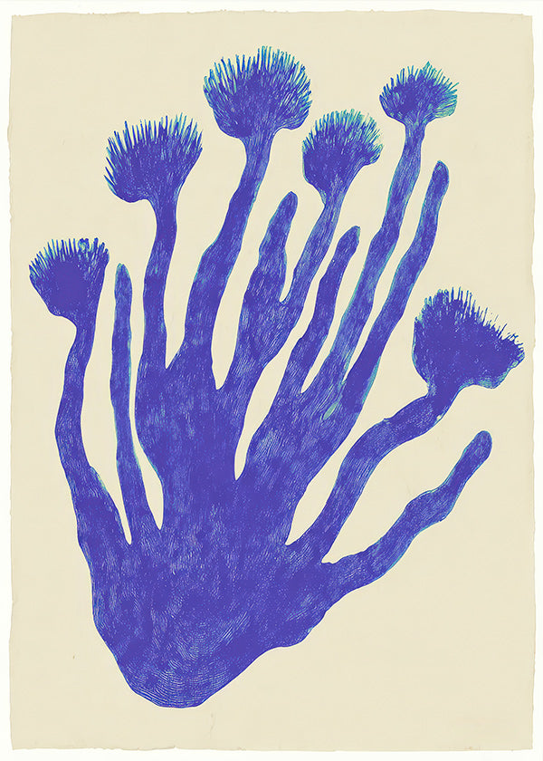 Botanický plakát Indigo Coral